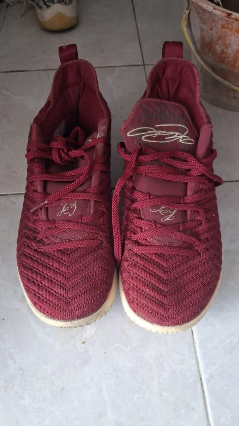 Nike Lebron King 16  photo 1