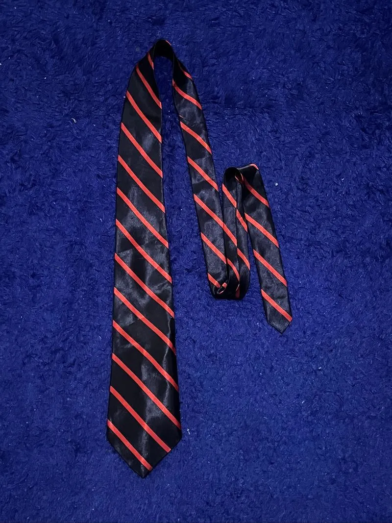 Dasi biru merah photo 1
