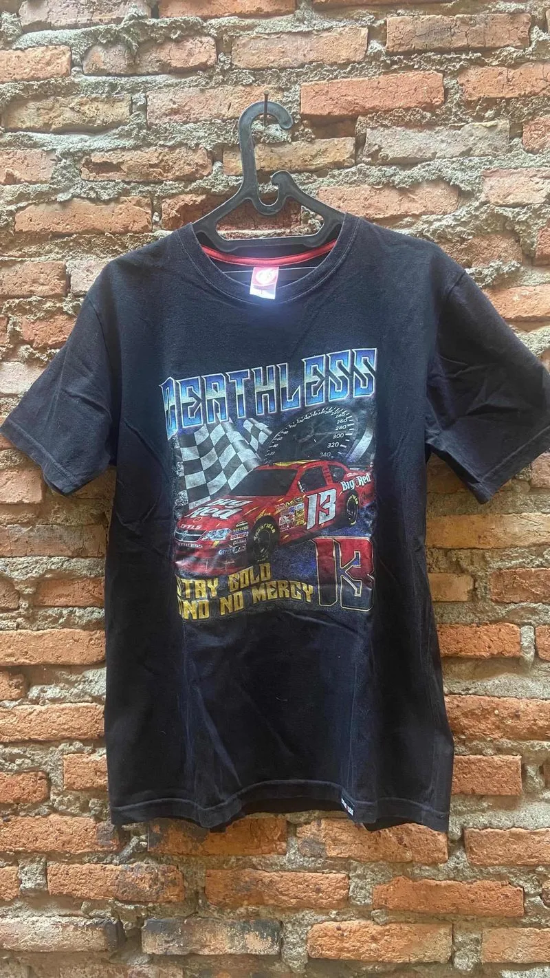 BEATHLESS NASCAR photo 1