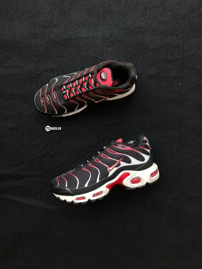 Nike Airmax Plus TN photo 1