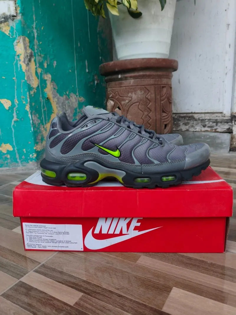 nike airmax tn photo 1