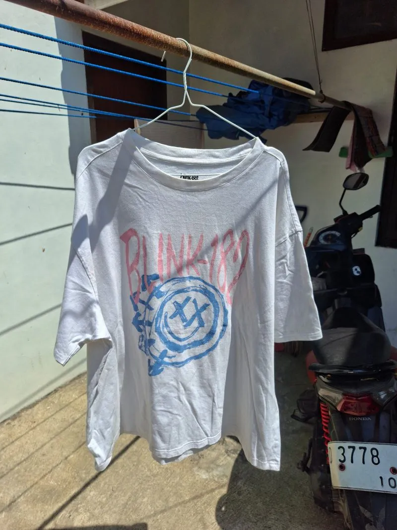 Blink-182 Official Shirt photo 1