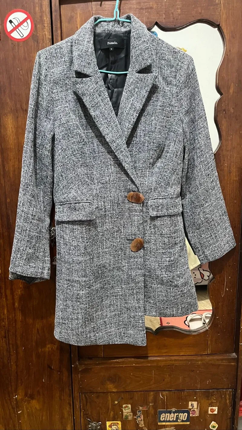 Pomelo Blazer photo 1