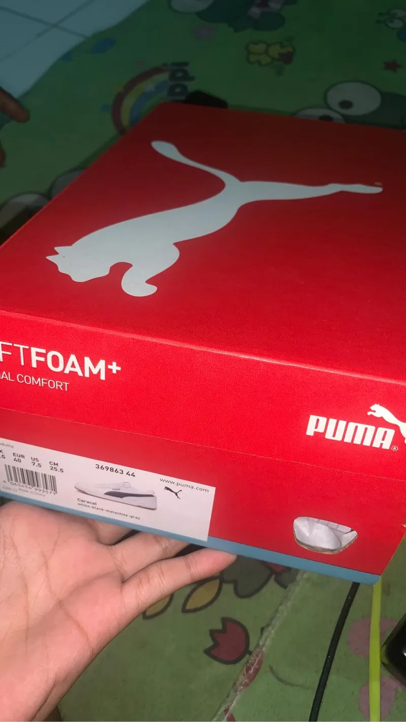 PUMA CARACAL photo 1
