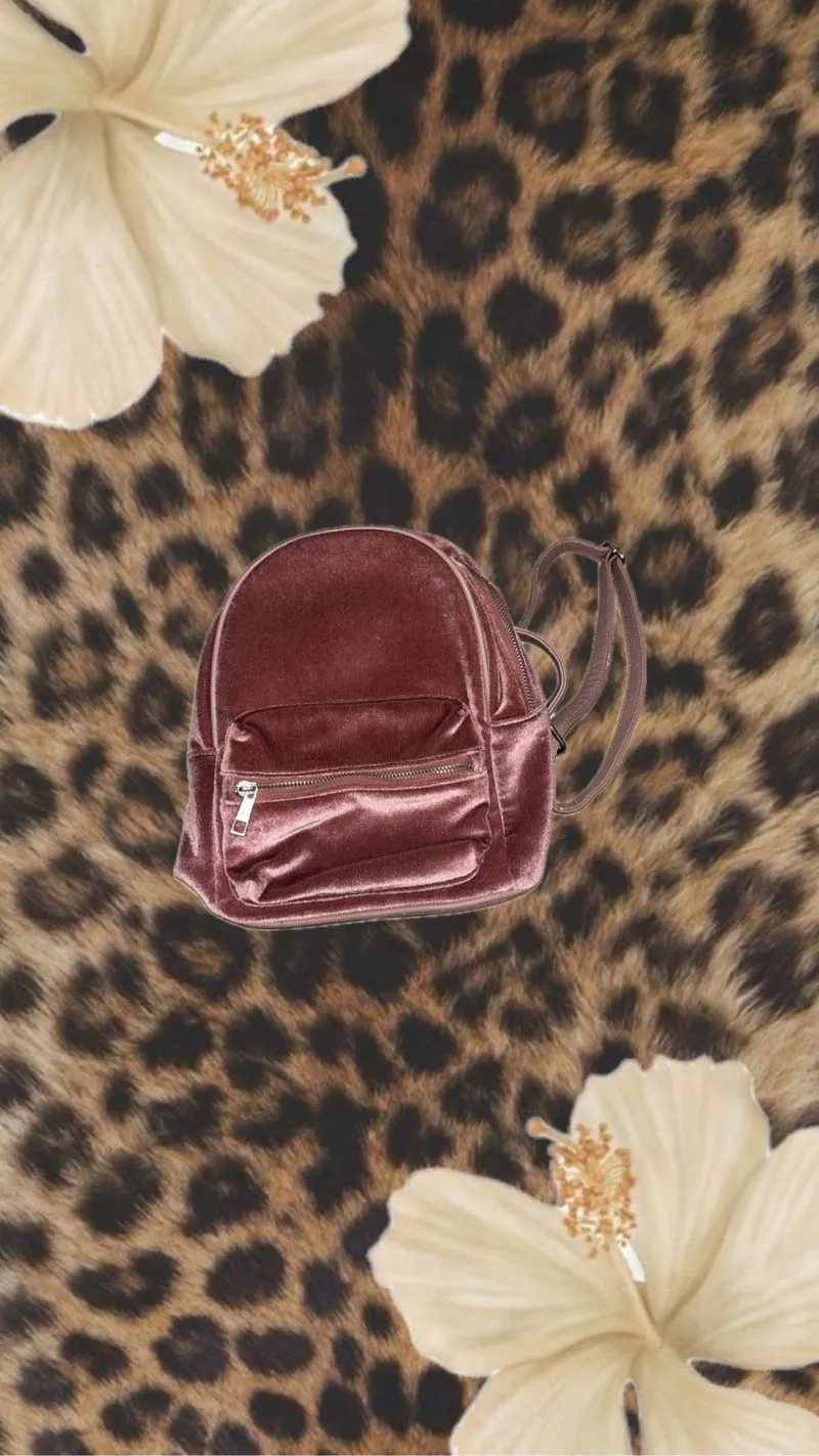 tas photo 1