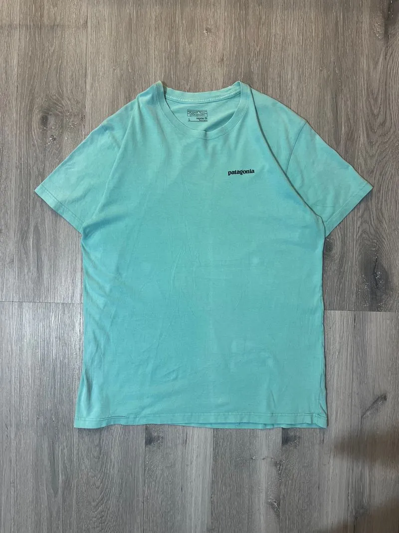 Patagonia Indie Casual T-shirt Pria green photo 1
