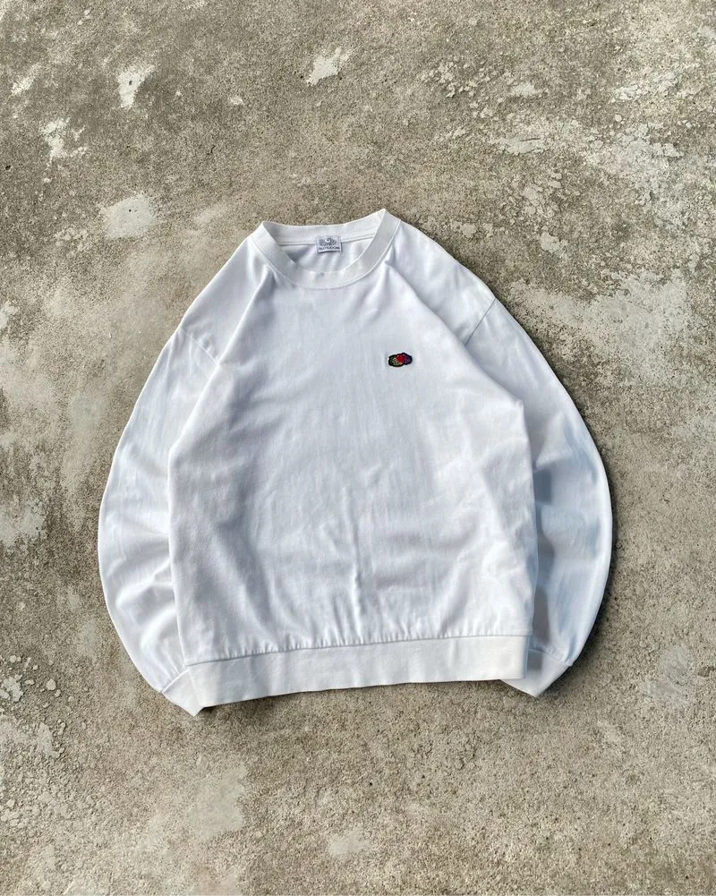 FRUIT OF THE LOOM LONGSLEEVE  photo 1