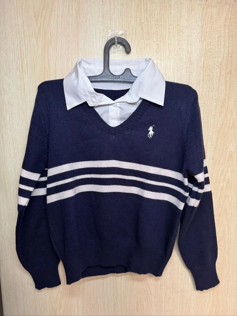 Dupe Polo Ralph Lauren Dark Blue Polo Sweater  photo 1
