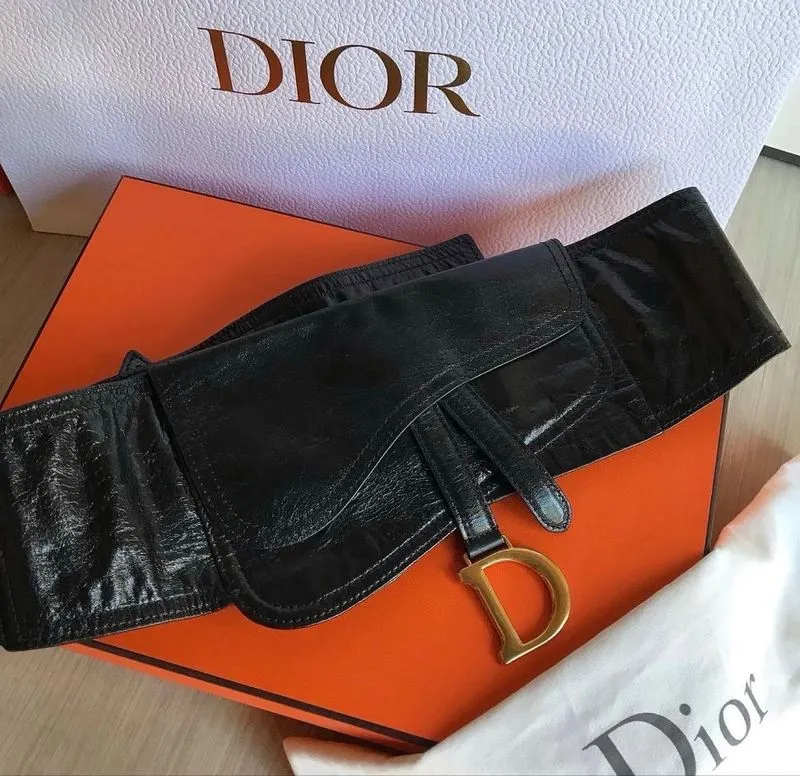 CHRISTIAN DIOR SADDLE BELT BACK CALFSKIN GHW SIZE M photo 1