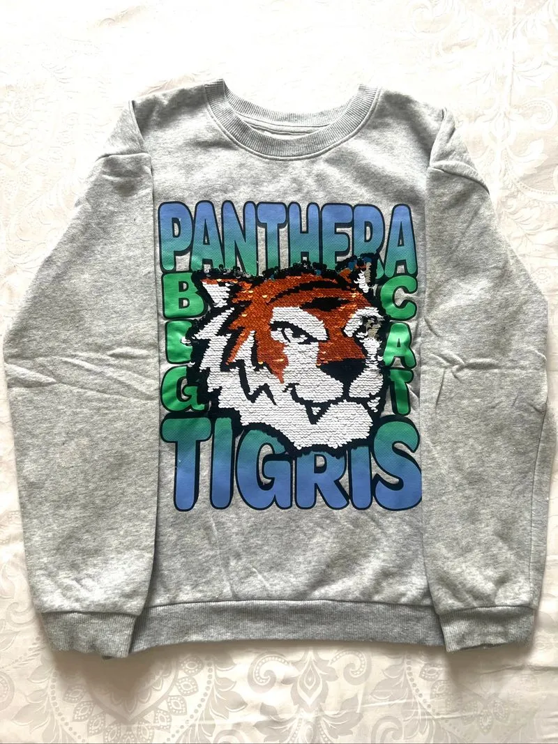 Crewneck light grey size 8/10Y photo 1
