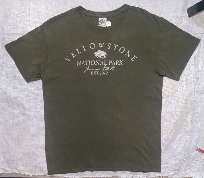 2000s Yellowstone National park Delta Pro Weight Tee Shirt photo 1