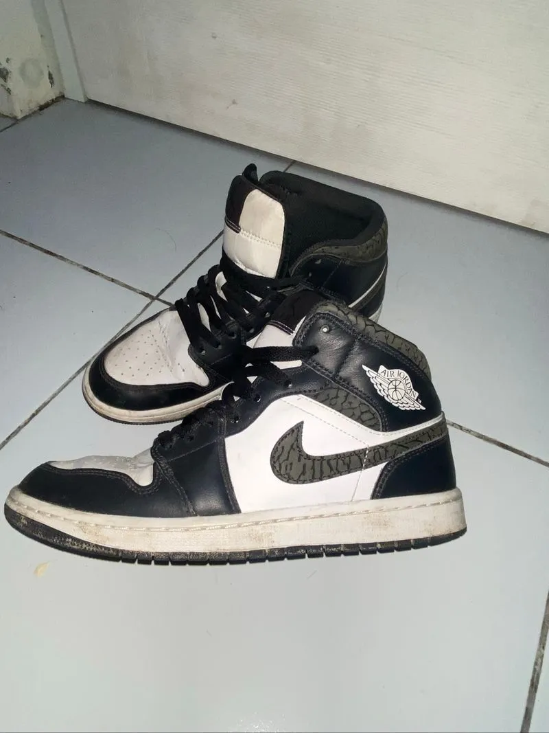 Air Jordan 1 Mid Special Edition photo 1