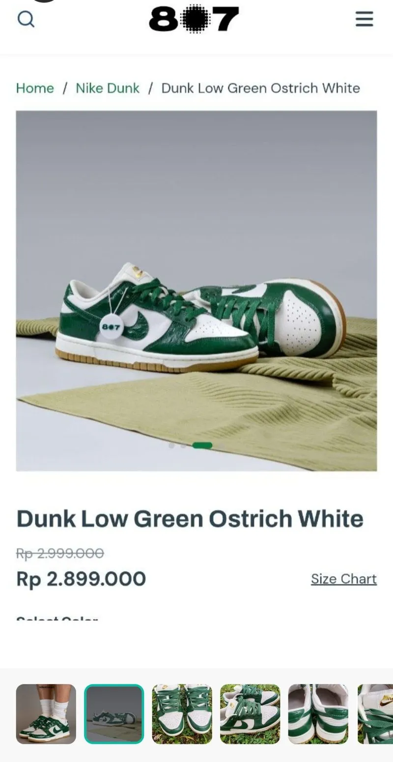 SEPATU NIKE DUNK OSTRICH GREEN NOT ADIDAS NEWBALANCE SUPREME photo 1