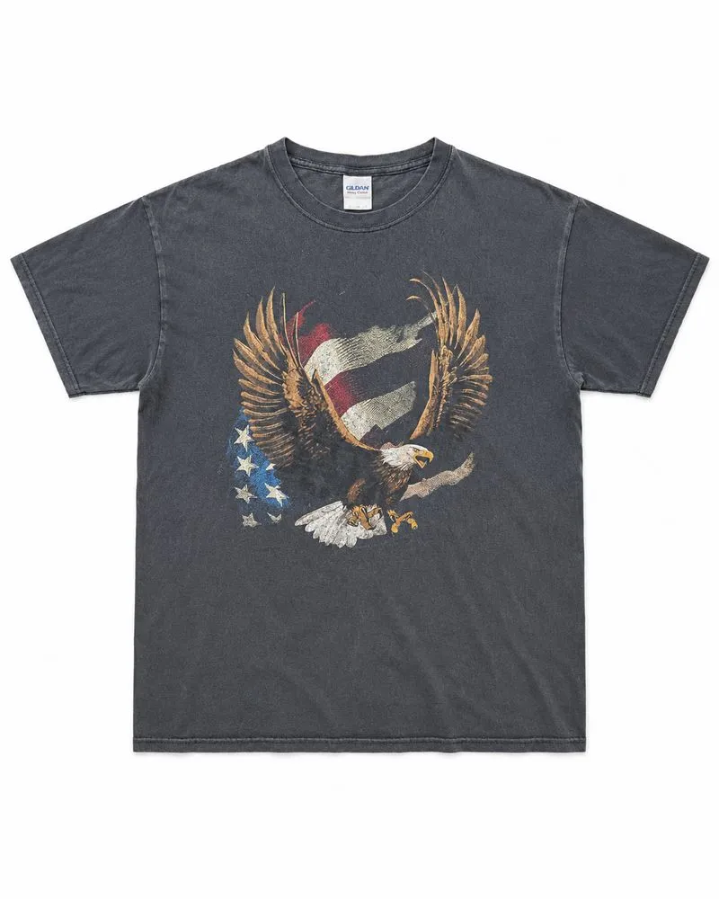 VIntage Fade Gildan Graphic 1999 America Eagle Tee photo 1