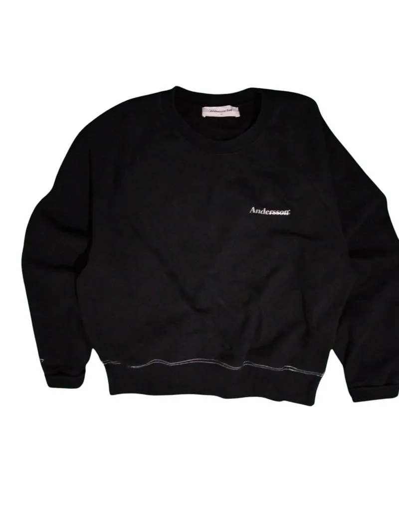 Andersson Bell Casual Sweater Pria black photo 1