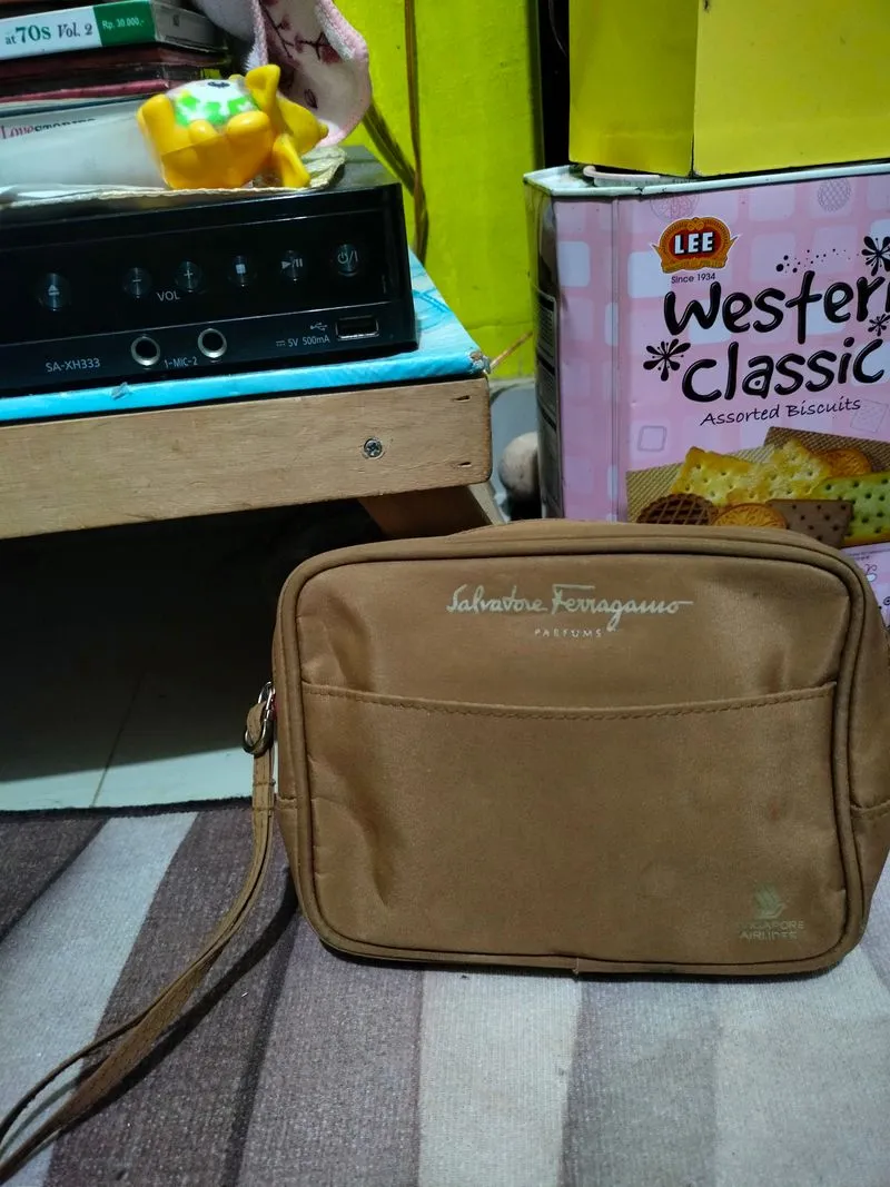 Salvatore Ferragamo Vintage Bag Pria brown photo 1