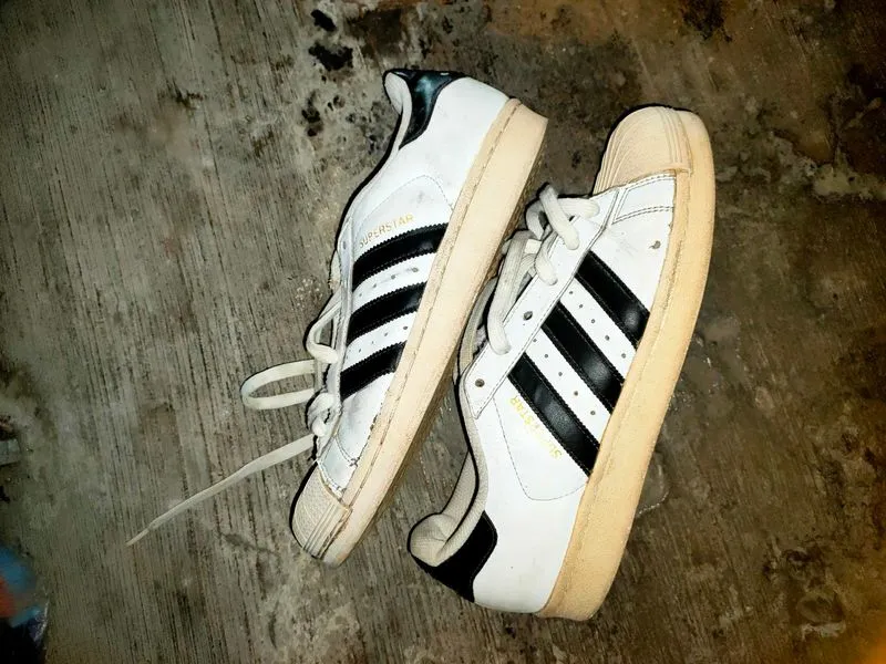 adidas superstar  photo 1