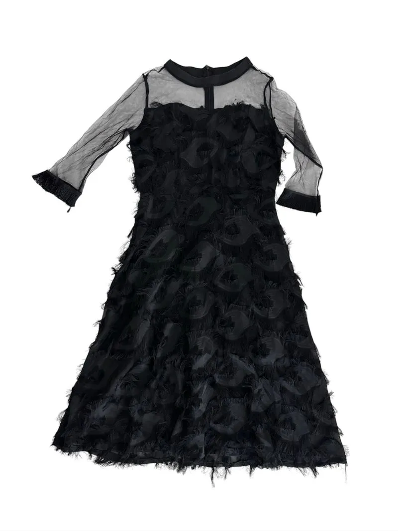 Black Feather Sheer Dress photo 1