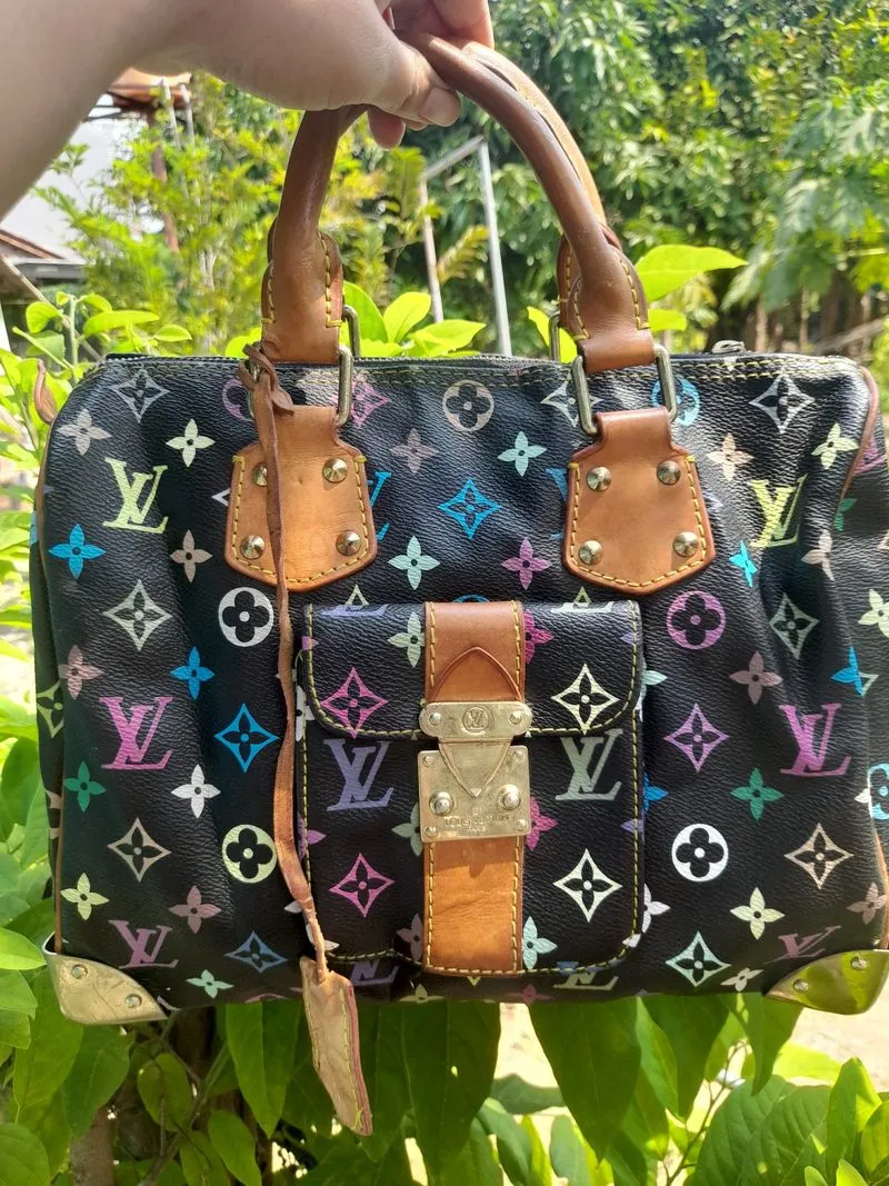 Lv speedy multicolor photo 1