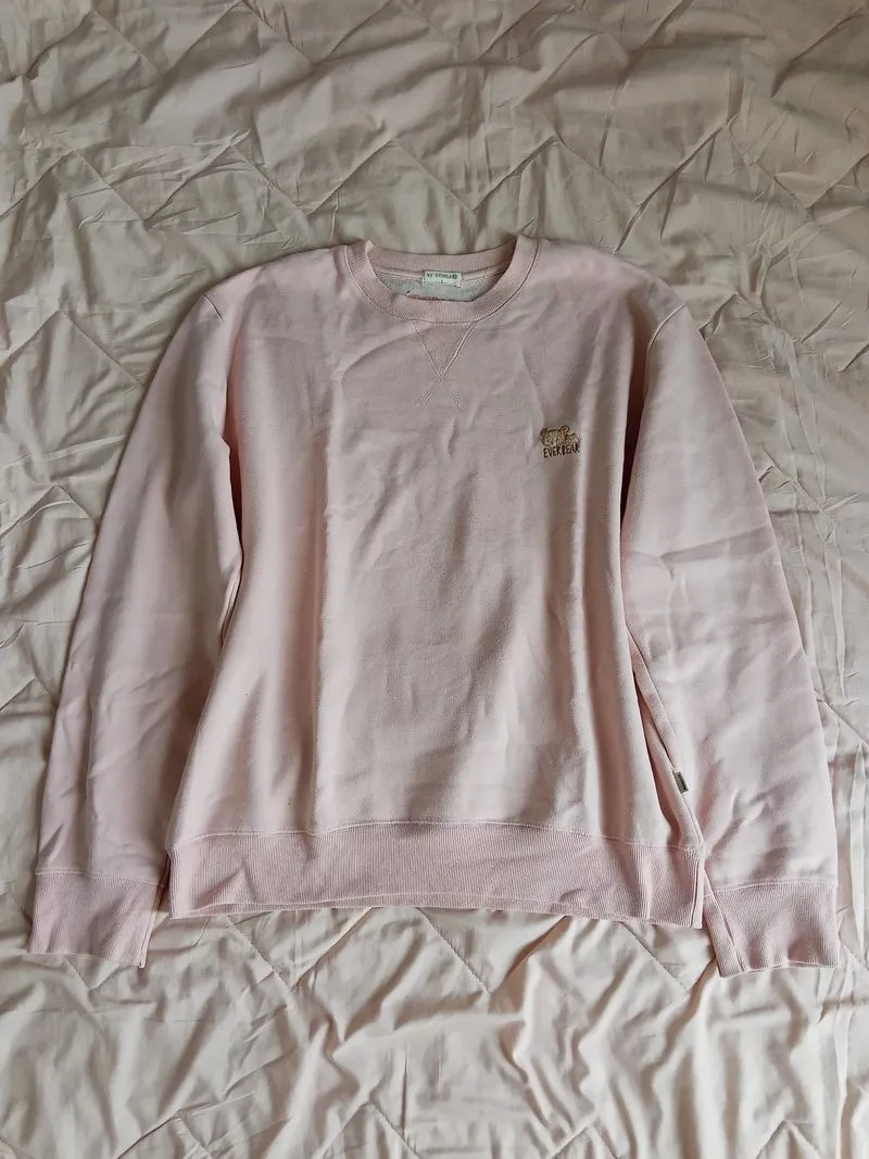 Sweater Hoodie Soft Pink by Everland photo 1