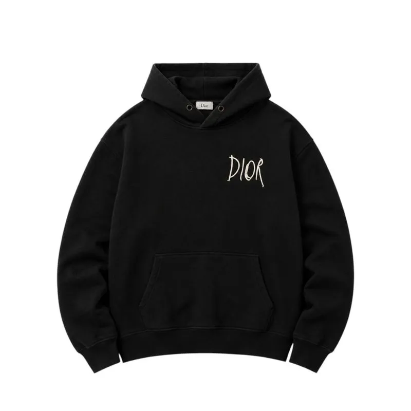 Hoodie Dior x Raymond pettibon Hoodie luxury photo 1