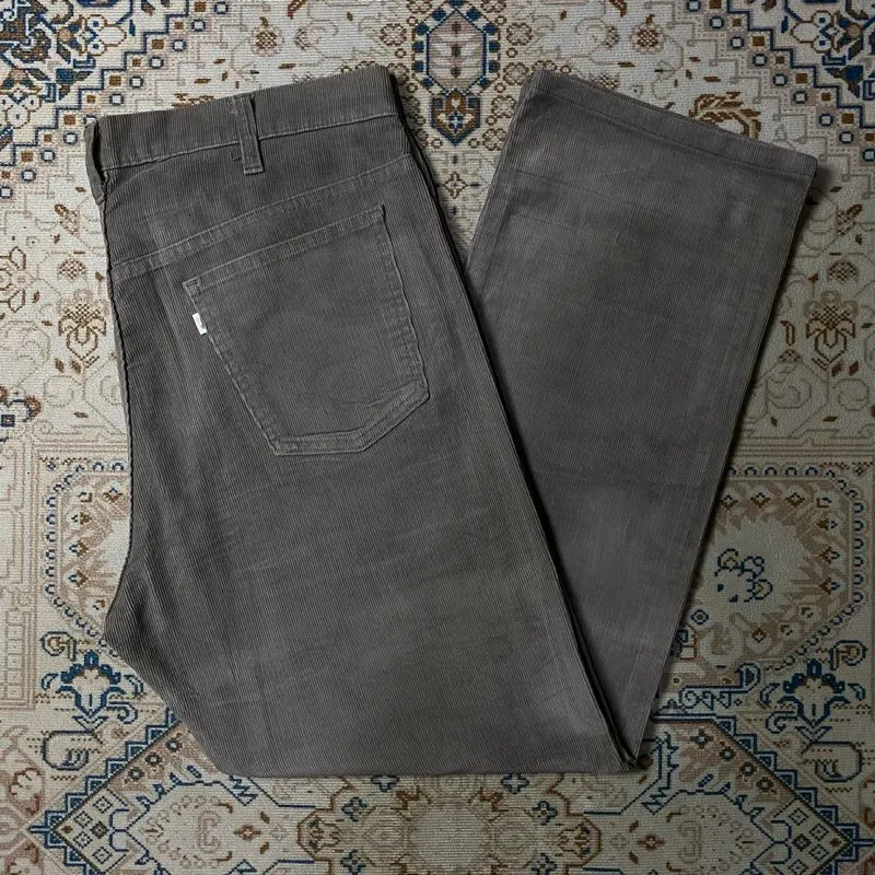 Levi's Streetwear Casual Casual pants Pria gray photo 1