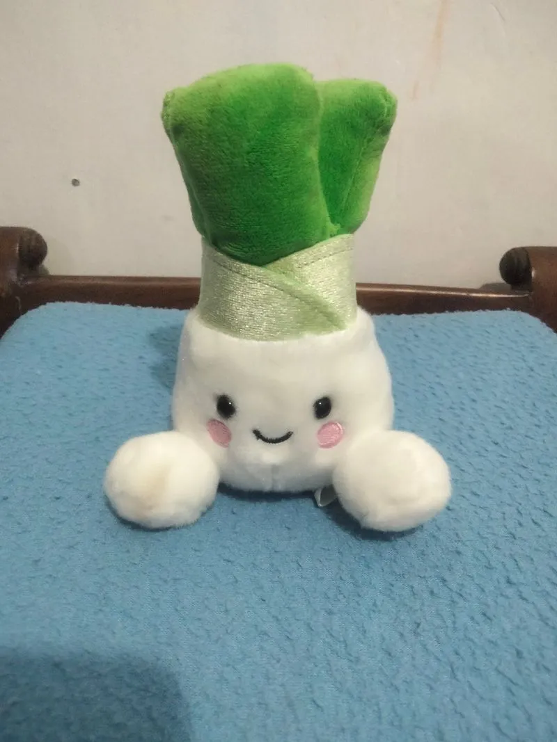 Ganci daun bawang  photo 1