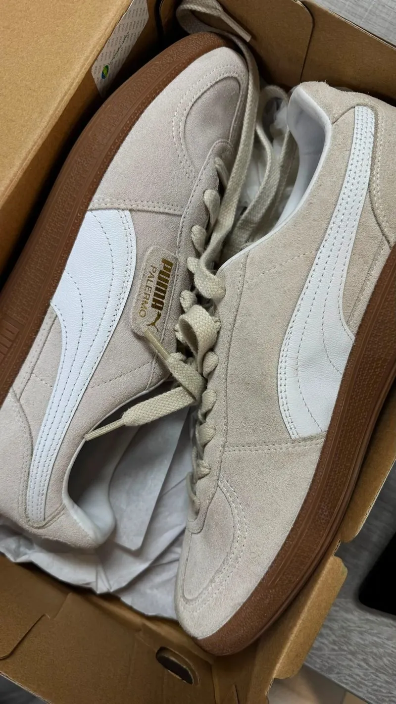 Puma palermo photo 1