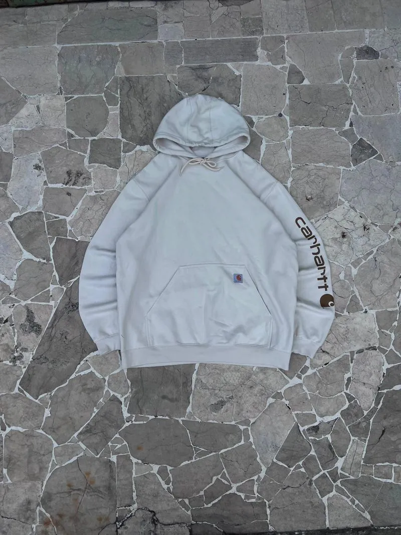 Hoodie Carhartt Spellout K288 W03 photo 1