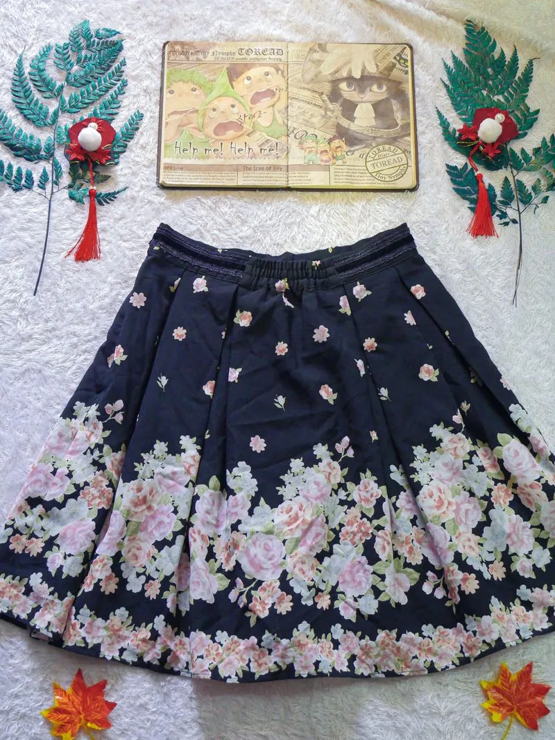 Rok Mini Shabby Fairy Kawai Lodispotto  photo 1