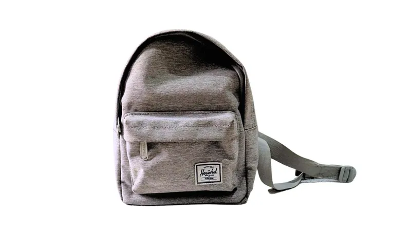 Herschel Streetwear Skater Bags & purse Wanita gray photo 1