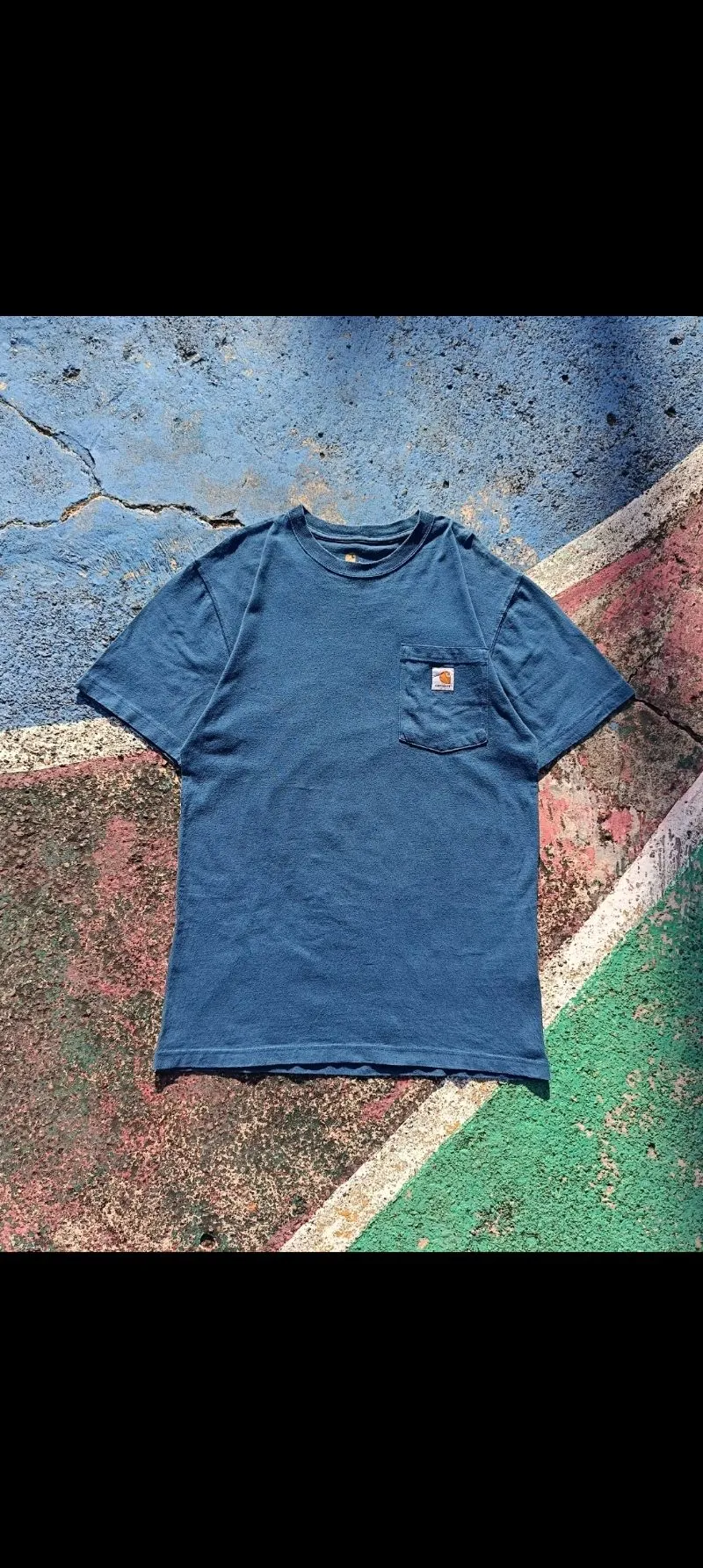 Carhartt Streetwear Casual T-shirt Pria blue photo 1