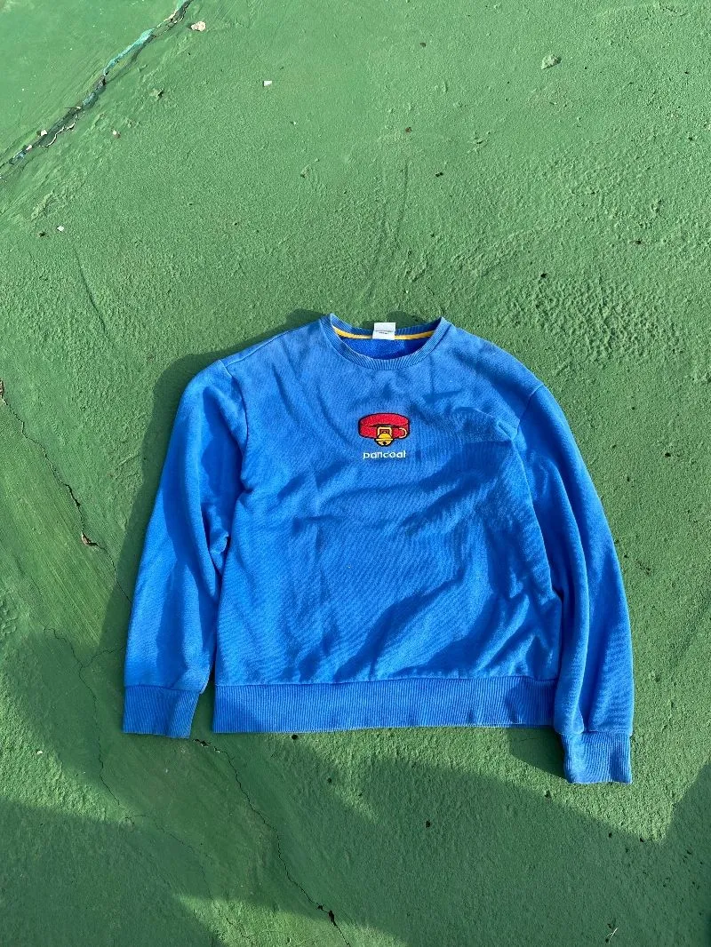 Pancoat Streetwear Bomber jacket Pria blue photo 1