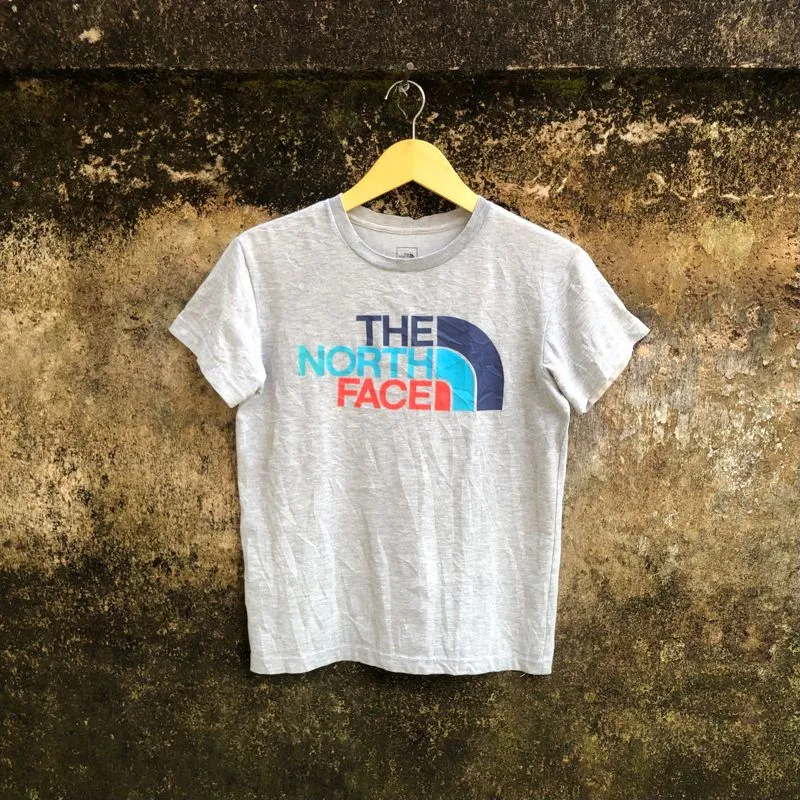 The North Face Streetwear T-shirt Pria gray photo 1