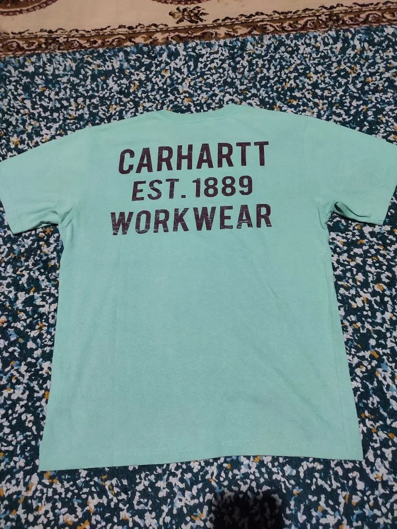 Carhartt Casual Casual shirt Pria green photo 1