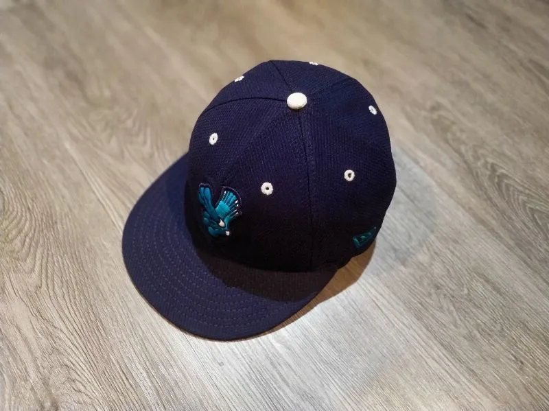 New Era Skater Sportswear Hat Pria navy photo 1