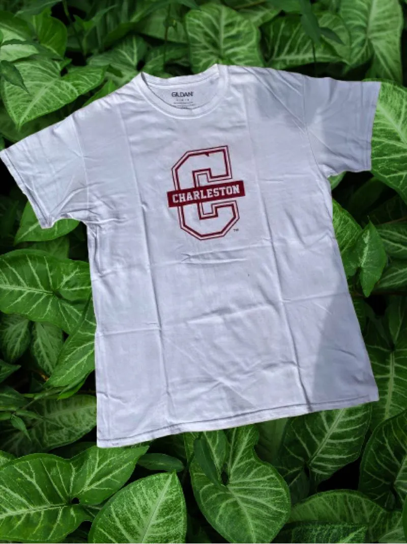 Gildan Streetwear T-shirt Pria burgundy white photo 1