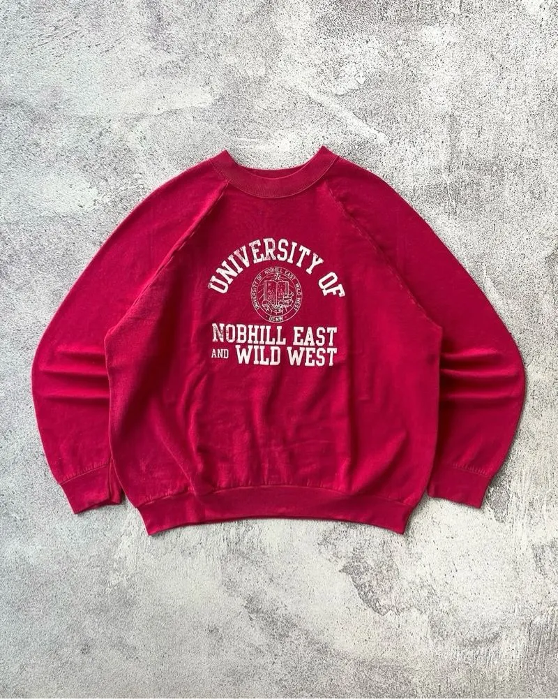 Fruit of the Loom Vintage Sweatshirt Pria pink photo 1