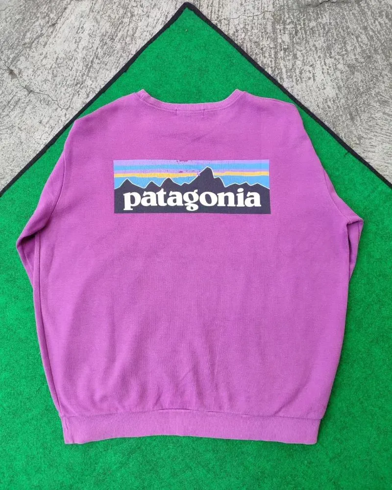 Patagonia Streetwear Sweater Pria purple photo 1