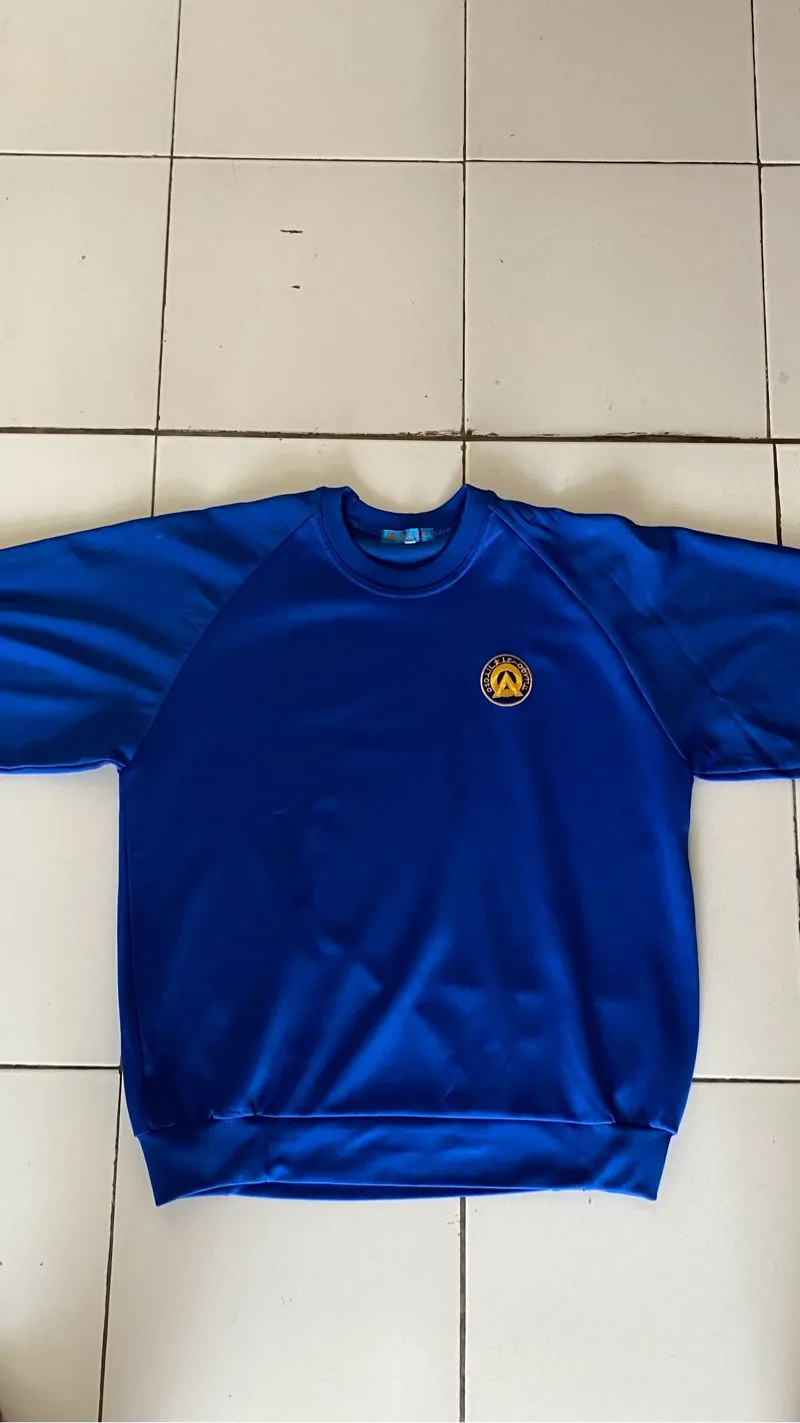 Aigner Minimalist Casual Sweater Pria blue photo 1
