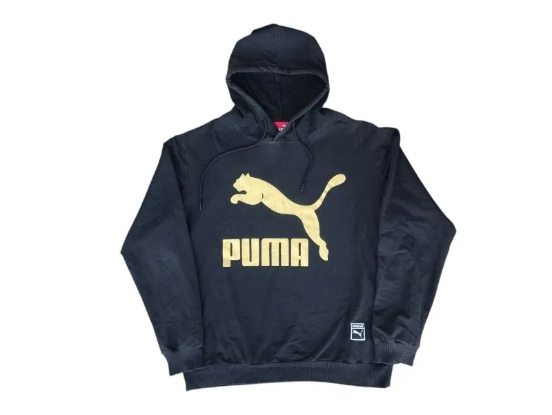 Puma Streetwear Skater Hoody Pria black photo 1