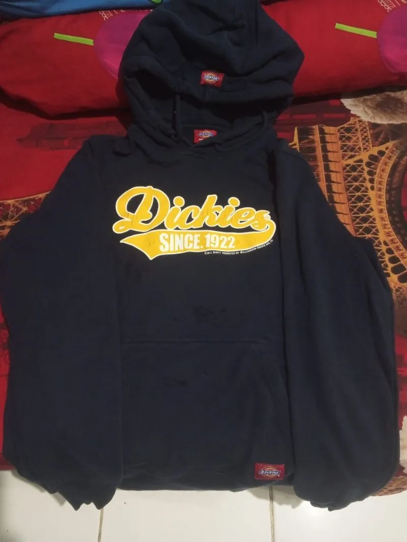 Dickies Streetwear Sweater Pria multicolor photo 1