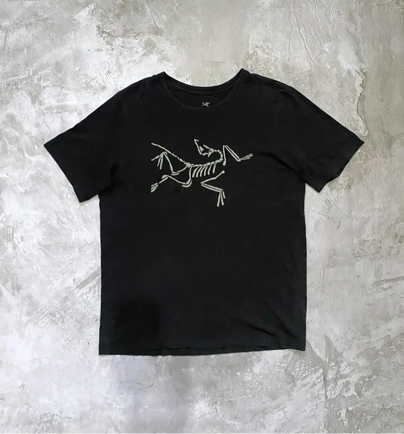 Arc'teryx Gorpcore T-shirt Pria black photo 1