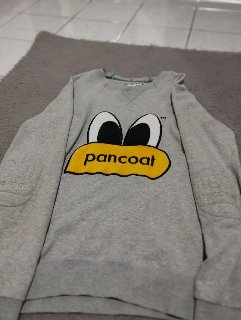Pancoat Casual Sweatshirt Pria gray photo 1