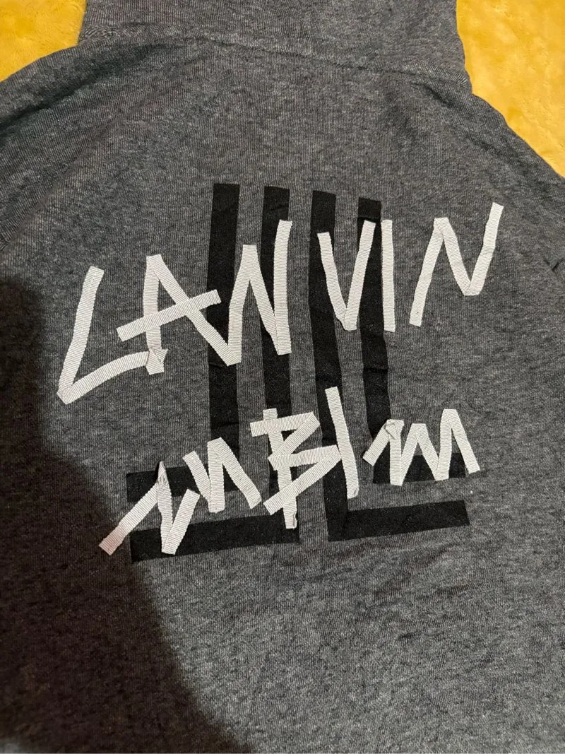 LANVIN Streetwear Luxury Hoody Wanita gray photo 1