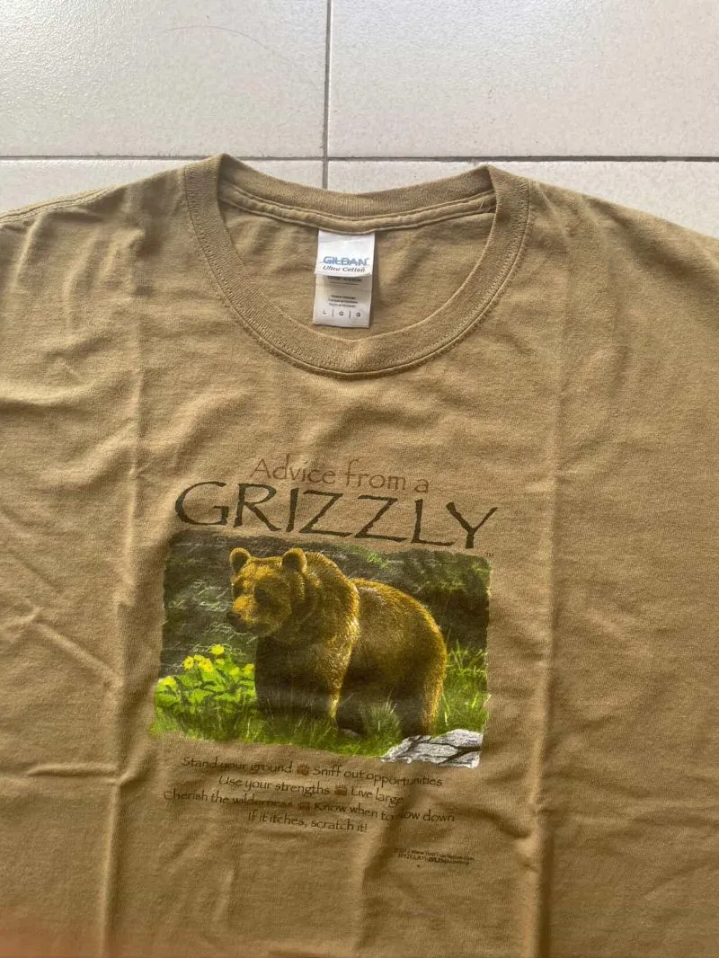 Gildan Indie T-shirt Pria brown photo 1