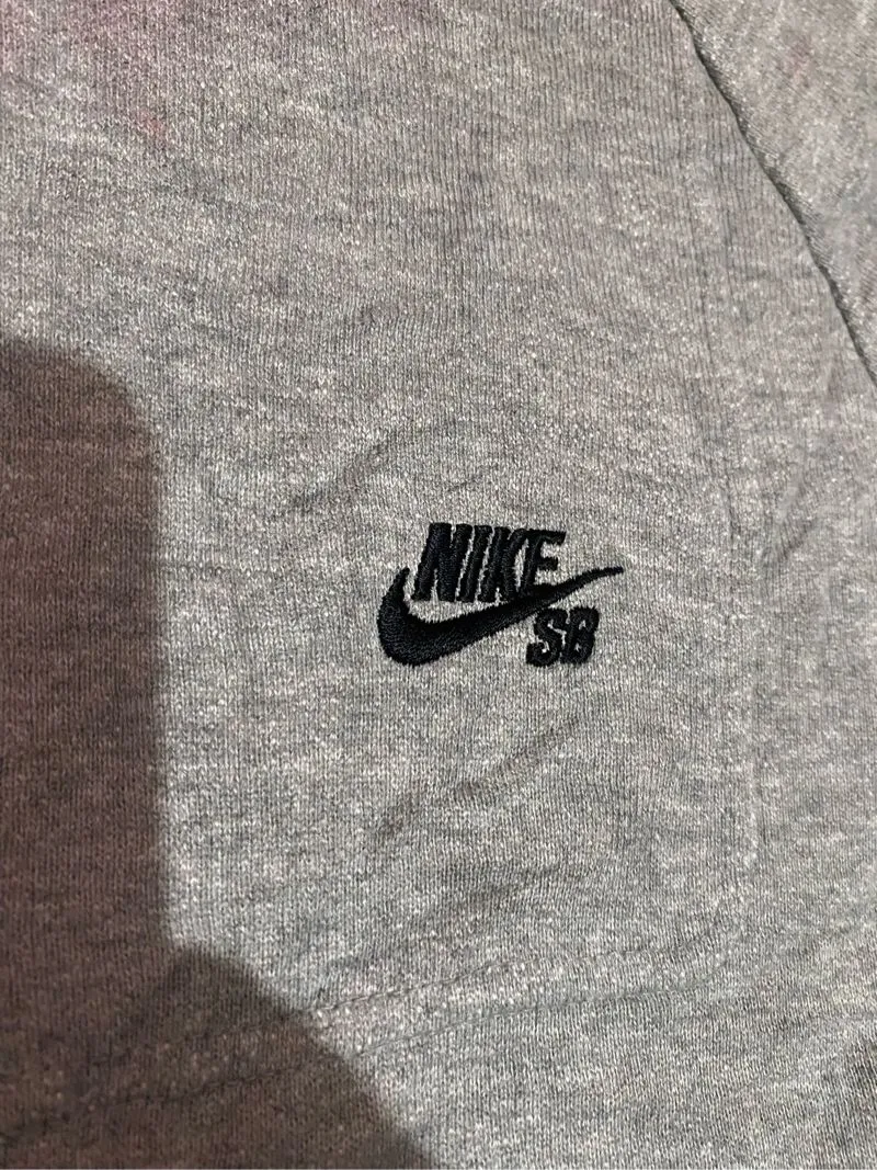 Nike Streetwear Hoody Pria gray photo 1