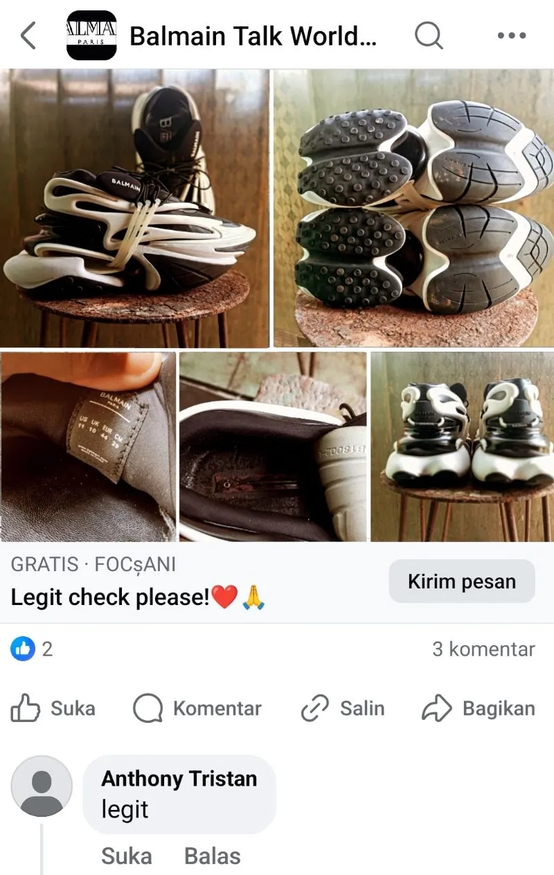 Balmain Unicorn Auten 44