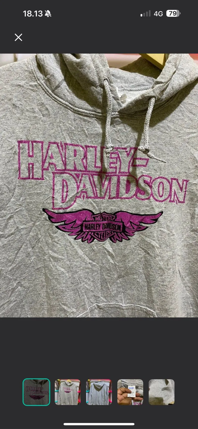 Harley Davidson Hoodie by Gildan photo 1