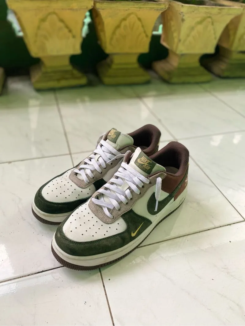 sepatu nike x the north face